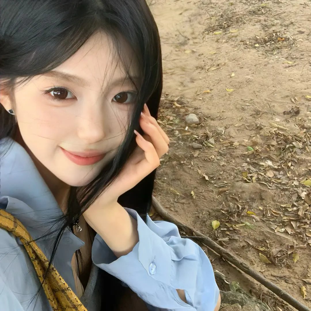 狗的审判